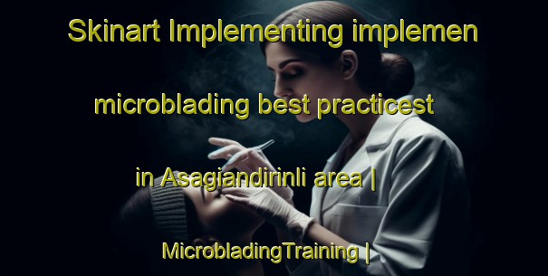 Skinart Implementing implemen microblading best practicest in Asagiandirinli area | MicrobladingTraining | MicrobladingClasses | SkinartTraining-Turkey